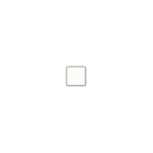 Ceramic Floor Tile Sierra White 12" x 12"
